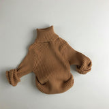 Cozy Solid Color Chunky Ribbed Knit Turtleneck Long Sleeve Kids Pullover Sweater