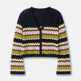 Multicolored V Neck Button Up Chevron Stripe Pointelle Crop Knit Cardigan