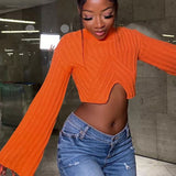 Sexy High Neck Bell Sleeve Chunky Rib Knit Triangle V Cut Crop Sweater