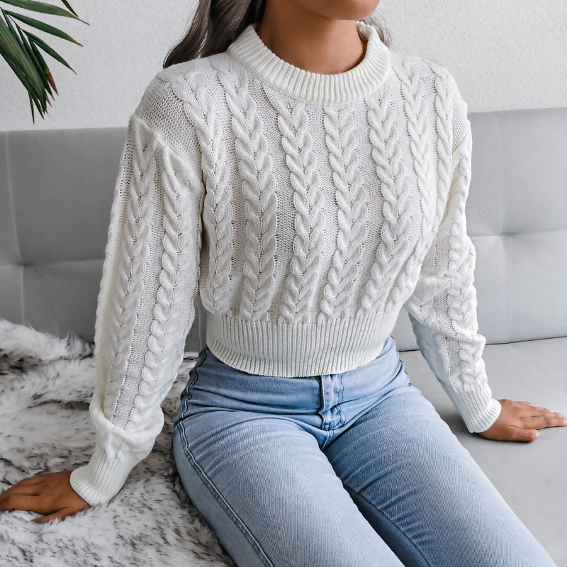 Street Style Crew Neck Long Sleeve Pullvoer Cable Knit Sweater