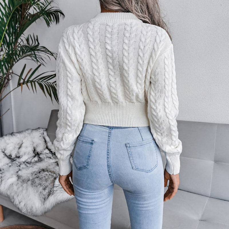 Street Style Crew Neck Long Sleeve Pullvoer Cable Knit Sweater